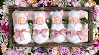 Rare Identical Quadruplets Adorably Sleep Through Newborn Photo Shoot [upl. by Yenal]