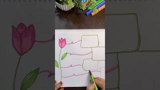 MIND MAP 🌷trending subscribe ytshorts [upl. by Alhahs987]