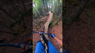 My New Favorite Trail mountainbike mtb [upl. by Haliak]