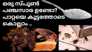 പാറ്റയെ കൊല്ലാൻ രണ്ട്‌ കിടിലൻ ടിപ്സ് How to get rid of cockroaches Effective cockroach killer [upl. by Ressay]