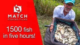 1500 fish in FIVE hours [upl. by Atilef]