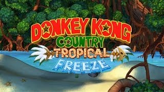 Grassland Groove World 31  Donkey Kong Country Tropical Freeze OST Extended [upl. by Suhpoelc4]