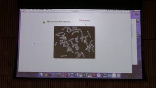 Lecture 45 Aherns BB 451  DNA Replication amp Repair III [upl. by Silvano413]