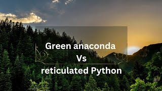 Green Anaconda vs Reticulated Python [upl. by Ellehcem592]