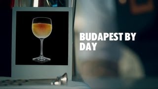 BUDAPEST BY DAY DRINK RECIPE  HOW TO MIX [upl. by Jehias]