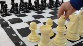 Large 8quot IndoorOutdoor Chess Sets [upl. by Enala]