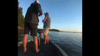 Fishing Kentucky and Barkley lake July 4 weekend ￼ [upl. by Ynnol]