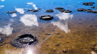 Hypersaline Lakes amp Stromatolites [upl. by Llehsam]