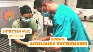 DEVENIR AUXILIAIRE VETERINAIRE ENTRETIEN AVEC MELISSA [upl. by Sinnal]