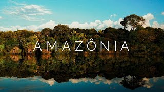 AMAZÔNIA  Viagem pela Floresta Amazônica Brasil  4K Ultra HD [upl. by Eceinart]