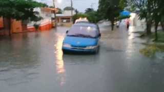 La colonia Arbustos y la Cárdenas bajo el agua [upl. by Zak]