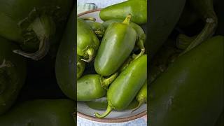 HOW TO Use Up all those Jalapenos [upl. by Angelique]