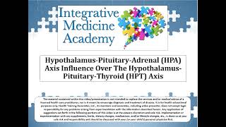 HPA Axis Influence Over The HPT Axis [upl. by Starobin848]