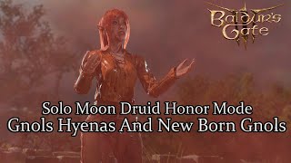 Solo Moon Druid Hyenas And Gnols Honor Mode [upl. by Notxap]