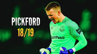 Jordan Pickford ● Saves Compilation ● 201819｜HD [upl. by Daub]