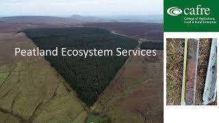 Peatland Ecosystem Services [upl. by Doughman]