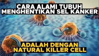 Cara Alami Tubuh Menghentikan Sel Kanker adalah dengan Natural Killer Cell [upl. by Jaylene]