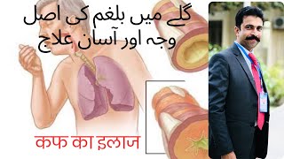 Top 3 causes of Mucus and Phlegm and its Treatment in Urdu Hindi [upl. by Naves488]