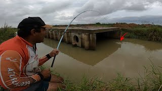 Primeiro dia do ano 2024 um lugar novo cheio de peixe bruto na linha Pesca raiz [upl. by Boland]