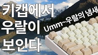 키캡에서 우랄산맥이 보인드아 COX CK108 키덕키덕 [upl. by Ihtac167]