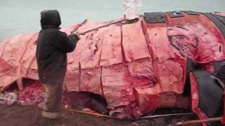 Nunavut Whale Huntwmv [upl. by Eical]