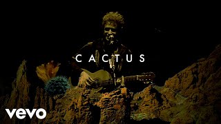 Gustavo Cerati  Cactus Official Visualizer [upl. by Ettevroc]