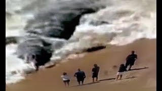 POSSIBLE MEGALODON SHARK WASHED UP ON SHORE 2017 [upl. by Baggs]