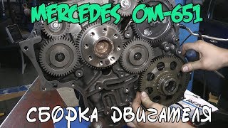 Сборка двигателя Mercedes Benz ОМ651 [upl. by Jordanna627]