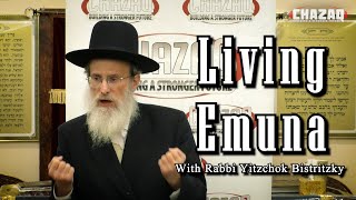 Rabbi Yitzchok Bistritzky  Living Emuna [upl. by Tnomel]