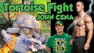 Tortoise fighting like John Cena  John Cena Style Fight [upl. by Tye]