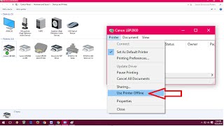 How to Fix Printer Offline Issues In Windows PC Windows 10817 [upl. by Novyert]