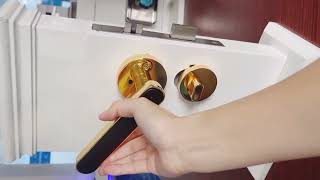 Biometric Fingerprint Smart Door Lock [upl. by Matlick]