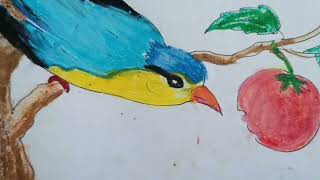 BEAUTIFUL BIRD DRAWING OIL PASTEL [upl. by Noynek955]