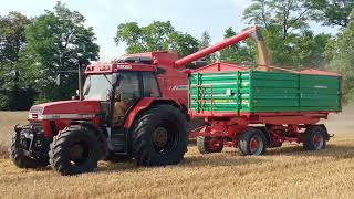 🌾ŻNIWA PSZENICY🌾 CASE 5150 MAXXUM MASSEY FERGUSON ACTIVA [upl. by Fullerton]