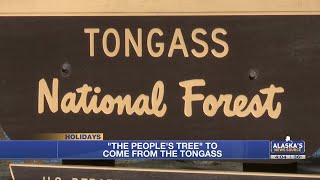 Capitol Christmas tree to come from Tongass National Forest [upl. by Ylerebmik]