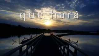 Amor Perfecto  Roberto Carlos  Letra  HD [upl. by Leamhsi]