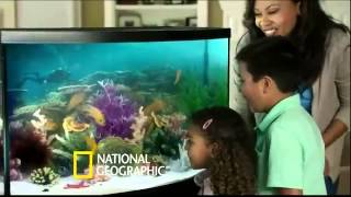 Petsmart National Geographic Commercial 2014 [upl. by Atika]