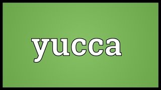 Yucca Meaning [upl. by Akaya113]