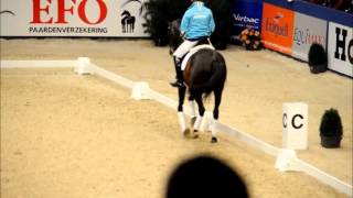 Carl Hester masterclass at KWPN Stallion Show 2014 [upl. by Shiller]