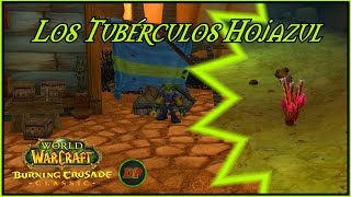 WoW TBC Classic  Los Tubérculos Hojazul🔵 [upl. by Trish675]