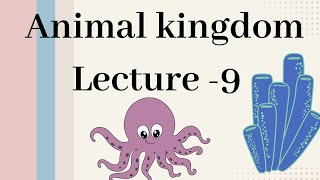 Annelida  Animal kingdom Lecture  9 [upl. by Aneelas]