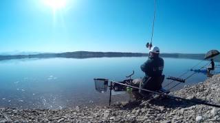 Pesca FEEDER de Carpas en Bornos ELLEVI ESPAÑA [upl. by Emlynn]