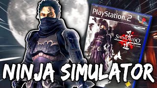 The Best NINJA SIMULATOR PS2 Game You Never Played [upl. by Barling672]