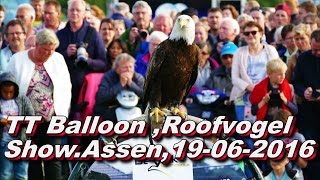 TT Balloon FestivalRoofvogelshowAssen19 06 2016 [upl. by Laing496]