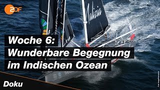 Vendée Globe Pech und geheime Reparaturen  SPORTreportage  ZDF [upl. by Chlori141]