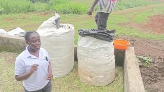 Making High quality Silage using silage bags [upl. by Urias]