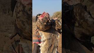 Hadza bushman Carrying Big Chunks Of Wild Pig BushMeatshortsfeed hadzabetribe [upl. by Seow]