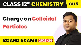 Charge on Colloidal Particles  Surface Chemistry  Class 12 Chemistry Chapter 5 IITJEENEET [upl. by Nede]