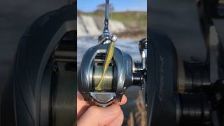 Casting Micro Jighead on Budget BFS Setup  Seasir Cast X [upl. by Edgard]