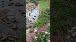 SANDSEND village Whitby SEASIDE 🏖️ beach [upl. by Modnarb]